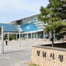 금빛초교 이미지