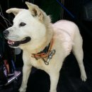 권선2 사거리 이미지