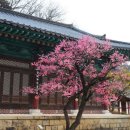 반곡지마을 이미지