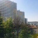 남산114공인중개사사무소 이미지