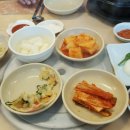 토종골옻닭마을 | 대전 삼계탕 맛집 둔'산동 토종골옻닭마을