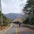 해금강주차장 이미지