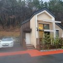 편백나무숲 | 사천케이블카 자연휴양림 후기: 편백나무 숲에 반한 최고의 인생 숙소