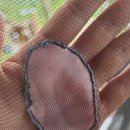 수목화 송정마을 오토캠핑장 이미지