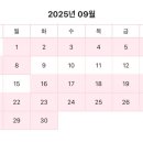 이솜(ISOM)