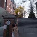 예진약국 이미지