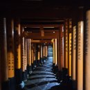 일본 여행, 그리고 필카 이미지