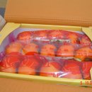 농장 천지인 이미지