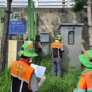 신안동9 이미지