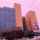 바나나무인호텔 | 여수 거북선대교뷰 호텔 헤이븐 더블 오션 브리지뷰 가성비 굿