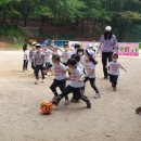 파주시청 이미지