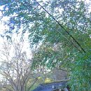 화순 한후정 이미지