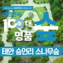 경상북도 안동시 풍천면행정복지센터 이미지