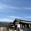 지곡로 | [경남여행] 아이들과 함께한 대봉산휴양밸리 모노레일 🚡국내 최장 코스 힐링 여행