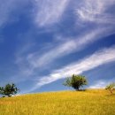 태을한의원 이미지