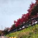 베이커리카페가연