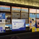 벧엘애견 이미지