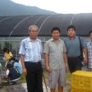 상사농장 이미지