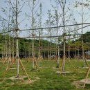 경충대로 2709번길 4 이미지