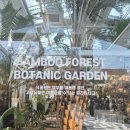 뱀부포레스트(BAMBOO Forest) | 🎋 [카페] 뱀부포레스트 (Bamboo Forest) - 숲속에서 즐기는 힐링 베이커리 카페! 🌴