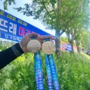 (주)에스지엠 아산지점 | 2026년 4회 아산 백의종군길 마라톤 런린이의 4km 완주 도전기 첫 마라톤 후기 주차꿀팁 아워심볼 내...
