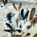 주동농장 이미지