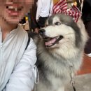 요가 야간 | 먹고 요가하고 먹고 요가하는 치앙마이 여행기 - 2탄