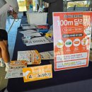 우리들의 댕댕이 | 영암 댕댕이 F1 트랙 운동회｜반려견과 트랙 완주 생생 후기