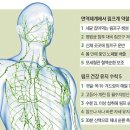 사라의시간피부앤바디연구소 네이버블로그