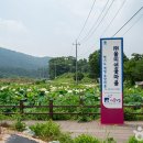 울 이미지