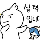 CnC 모터스 이미지