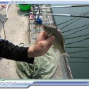 어우실낚시터 이미지