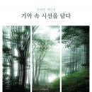 시선을담다