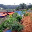 점리농장 이미지