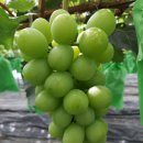 유창농장 이미지