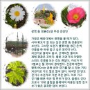 경륜장 티스토리