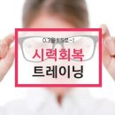 시력회복(0.3을1.5로~!) 트레이닝 이미지