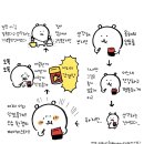 베이비스타 Daum카페