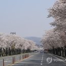덕유산 상고대 '눈꽃 세상' 과 봄꽃 소식들 이미지