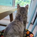 라탄 공예 | 구미북교회 라탄원데이수업 라탄가방 라탄공예 만들기후기 라탄