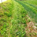 한삼농장 이미지