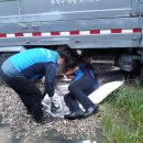 기동반-32 이미지