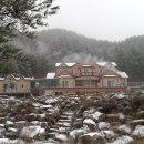 예닮 Daum카페
