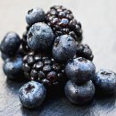 도움푸드 이미지