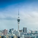 스카이타워 이미지