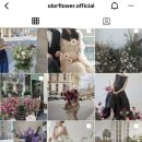 올로르플라워OlorFlower