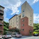 분당-334 이미지