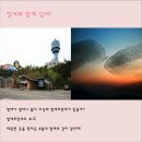 2018 군산새만금국제마라톤대회에 대해서 이미지