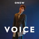 온유 티브이데일리