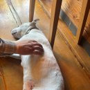 커피공방 | 구례 오차커피공방 내돈내산 후기